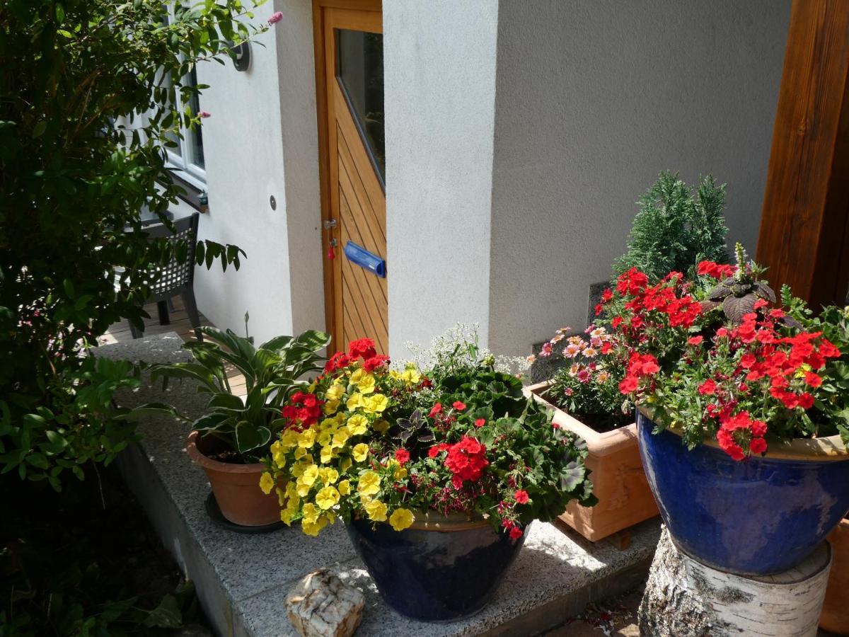 Ferienwohnung Mattenweg 1A 힌터짤텐 외부 사진