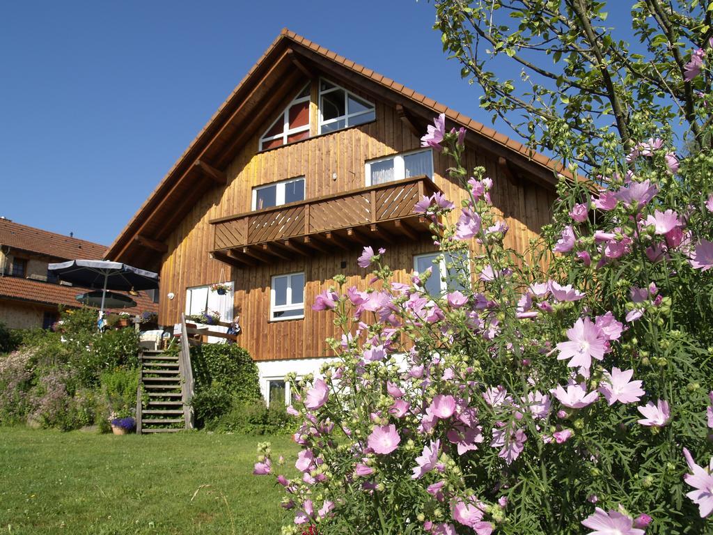 Ferienwohnung Mattenweg 1A 힌터짤텐 객실 사진